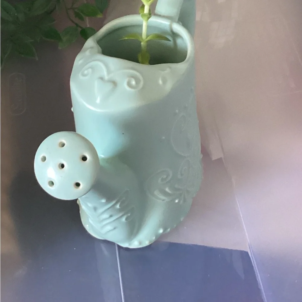 Mint Green\Blue Decorative Watering Vase/Planter